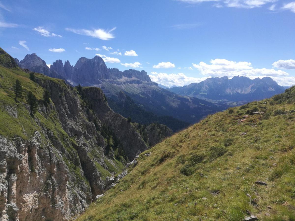 Chalet Tschogerhof Tiers Am Rosengarten Dolomiten Extérieur photo
