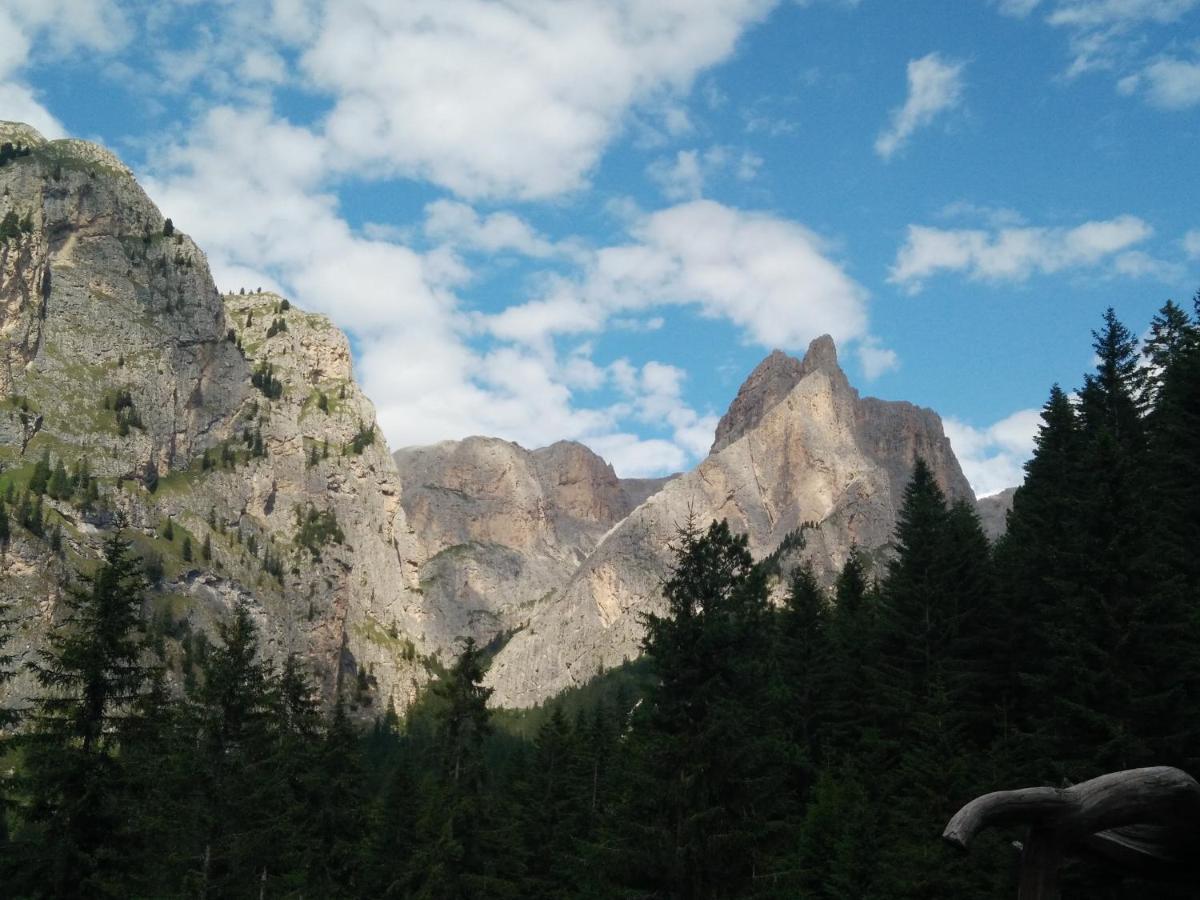 Chalet Tschogerhof Tiers Am Rosengarten Dolomiten Extérieur photo